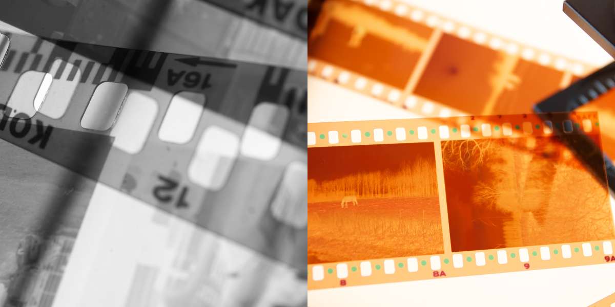 Lithographic film negatives recycling